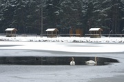 pajęczno galeria foto