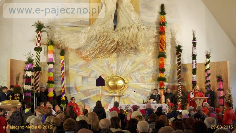 palmy trębaczew 2015