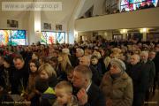 trębaczew palmy giganty