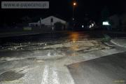 wichura pajęczno