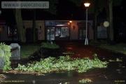 burza pajęczno