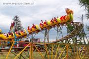 dni pajęczna