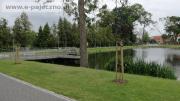 park rewitalizacja